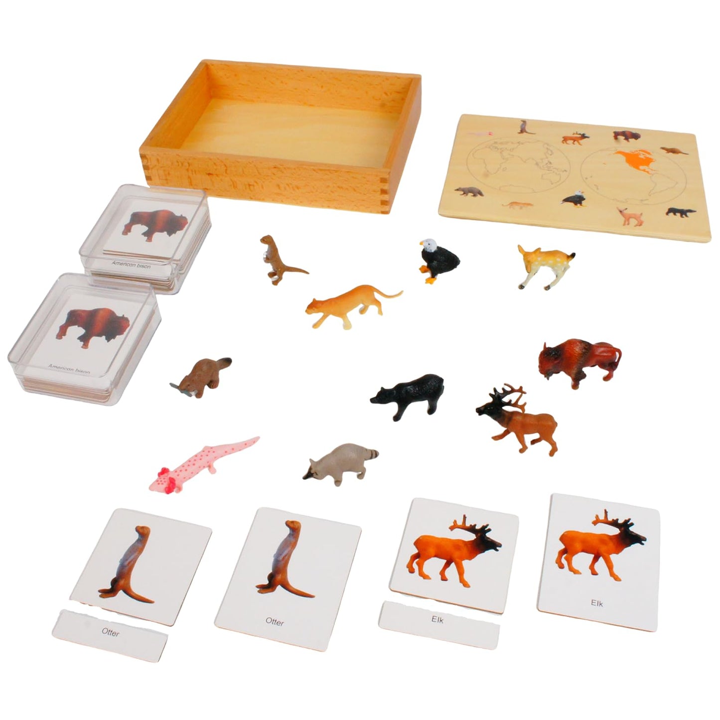 ancona North American Animals, Spanish/English Bilingual, Montessori Preschool Memory Matching Game Box Set with Animal Figurines & 3-Part Cards, Early Education Toy