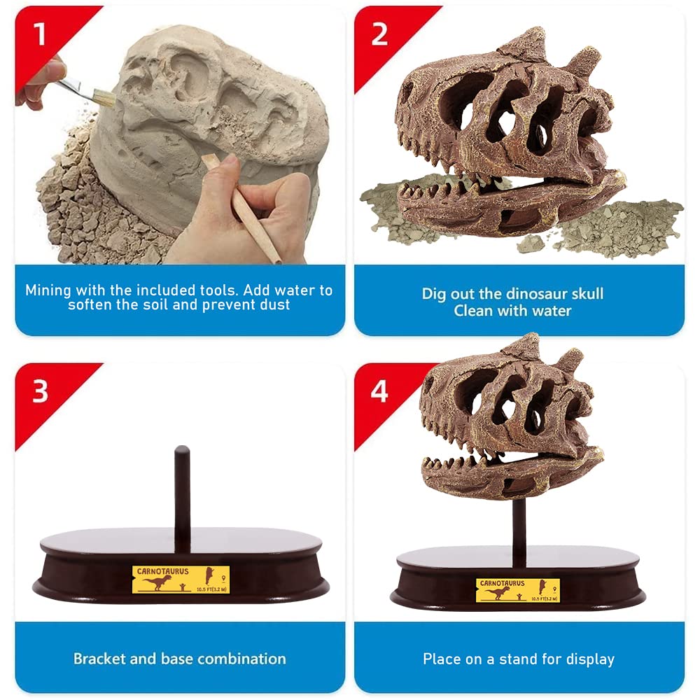 ArtCreativity Dinosaur Excavation Kit for Kids, Carnotaurus Skull Excavating Set with Fossil Digging Tools and Stand, Fun Science Activity Toy, Educational Dinosaur Gift for Boys and Girls