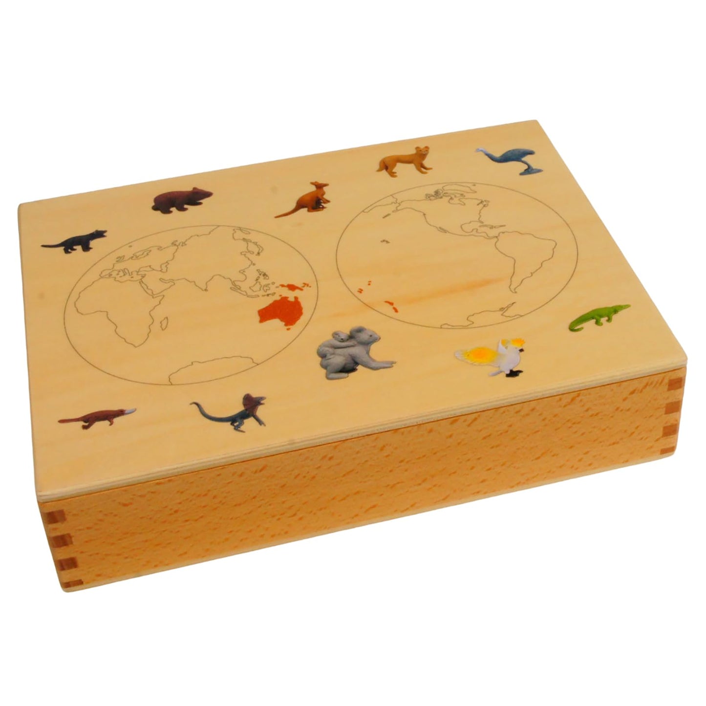 ancona Australian Animals, Spanish/English Bilingual, Montessori Preschool Memory Matching Game Box Set with Animal Figurines & 3-Part Cards, Early Education Toy
