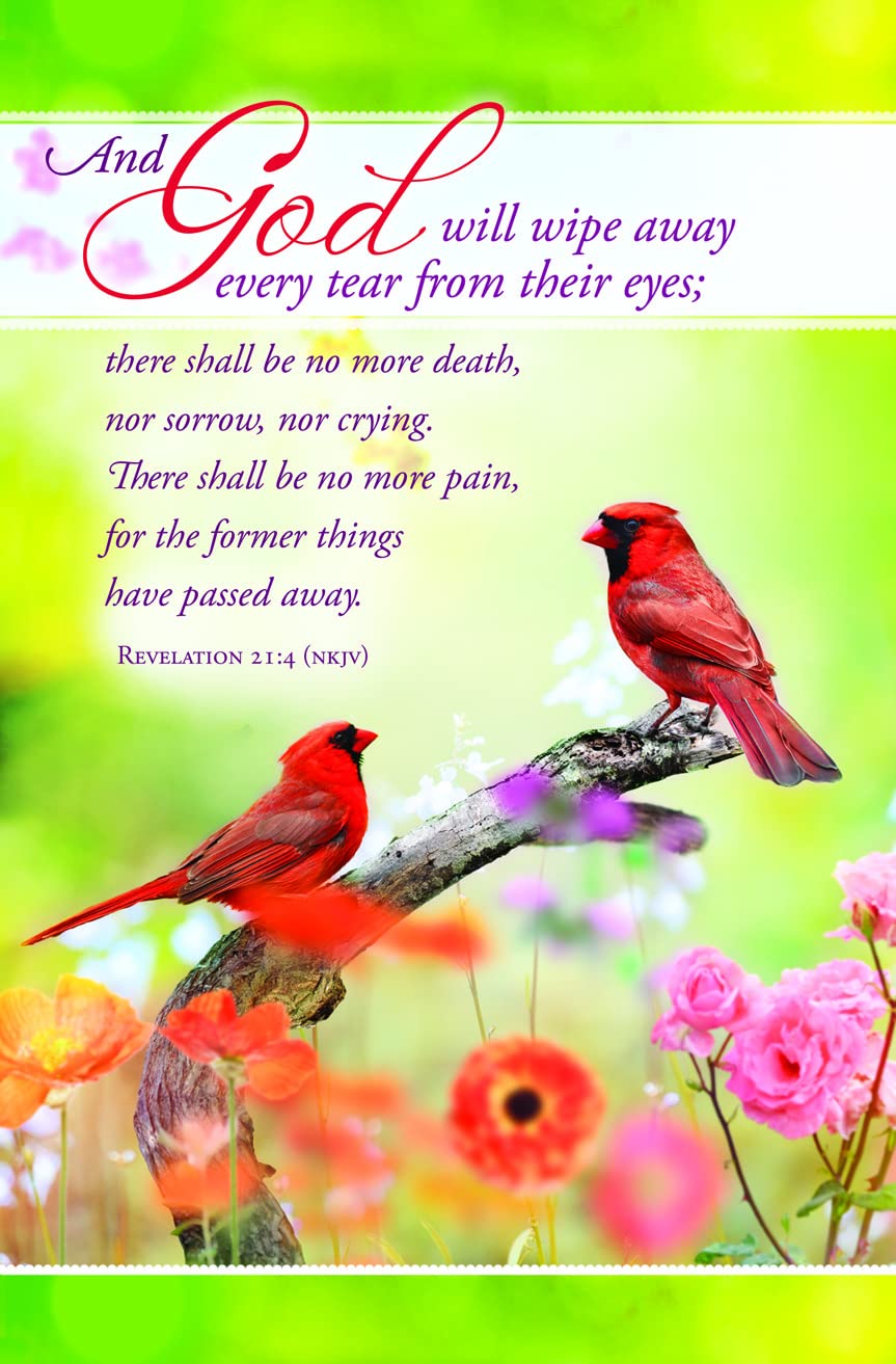 Funeral Bulletins – Pack of 100, 8.5″ × 11″ – “And God will wipe away every tear…” (Revelation 21:4, NKJV) – Cardinals Comfort Design