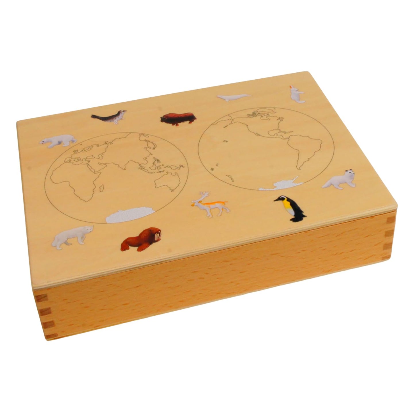 ancona Antarctic Animals, Spanish/English Bilingual, Montessori Preschool Memory Matching Game Box Set with Animal Figurines & 3-Part Cards, Early Education Toy