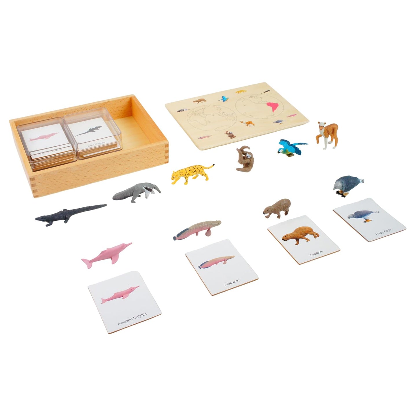 ancona South American Animals, Spanish/English Bilingual, Montessori Preschool Memory Matching Game Box Set with Animal Figurines & 3-Part Cards, Early Education Toy