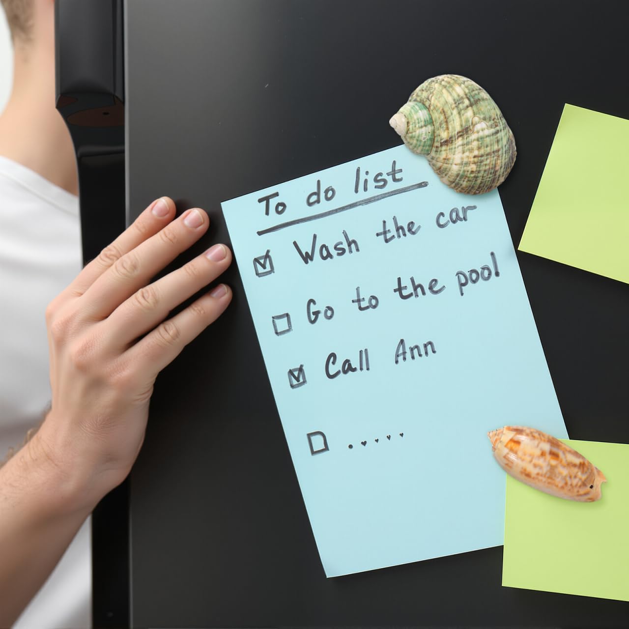 NUOBESTY Fridge Magnets 3D Seashell & Star Fish Set, Refrigerator Magnets with Magnetic Backing Coastal Decor for Kitchen Office Classroom Whiteboard Locker (7 Pcs Random Style)