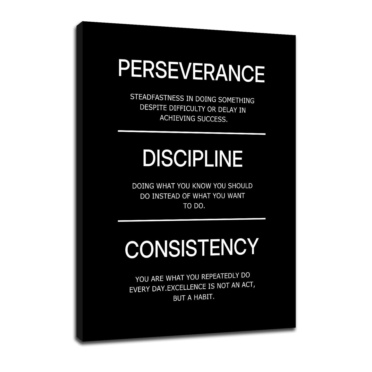 Inspirational Canvas Wall Art Perseverance Discipline Consistency Office Success Quotes Poster Wall Decor Motivational Picture Painting for Home Living Room Gym Stretched and Framed [18''W X 24''H]
