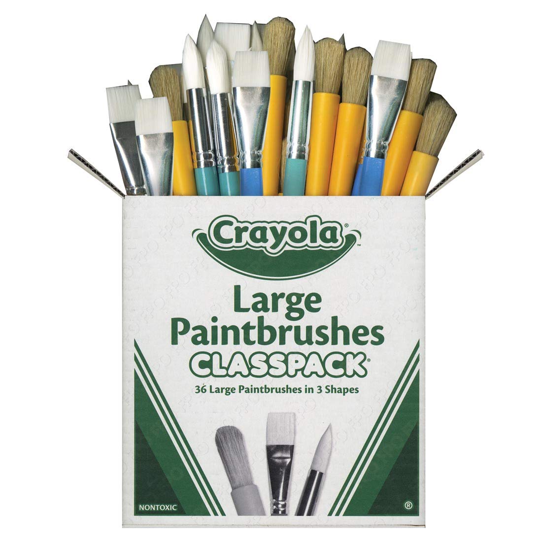 Crayola Paintbrush Variety Classpack (36ct), School Art Supplies for Kids, Flat & Round Paint Brushes for Toddlers & Classrooms, Easy Grip Handle