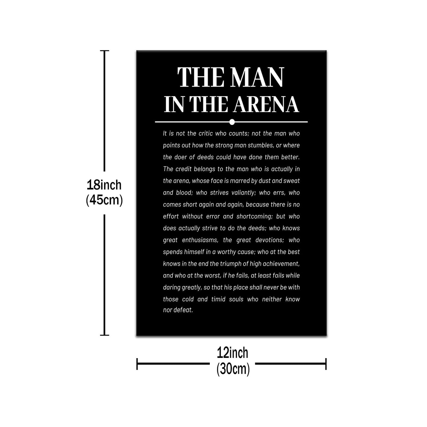 The Man in the Arena Inspirational Canvas Wall Art Motivational Entrepreneur Quotes Poster Print Positive Picture Artwork for Bedroom Office Wall Decor Ready to Hang [12''Wx18''H]