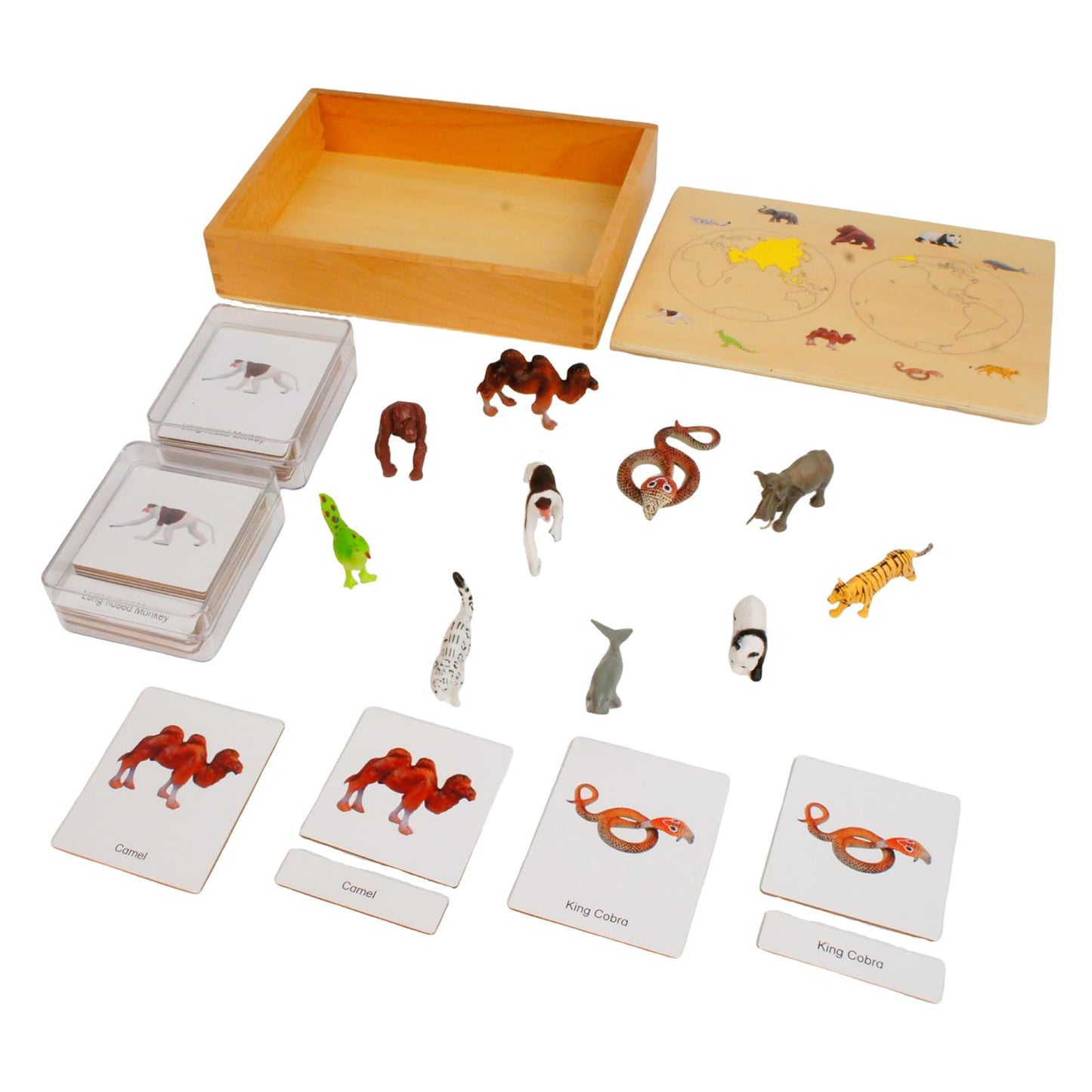 ancona Asian Animals, Spanish/English Bilingual, Montessori Preschool Memory Matching Game Box Set with Animal Figurines & 3-Part Cards, Early Education Toy
