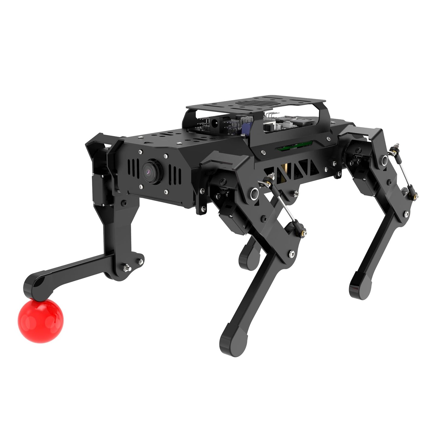 PuppyPi ROS2 Robot Dog with ChatGPT Large AI Models AI Embodied Intelligence Robotic Dog Vision Scene Voice Command Understanding Bionic Quadruped ROS Education Robot, Advance & RaspberryPi5 4GB