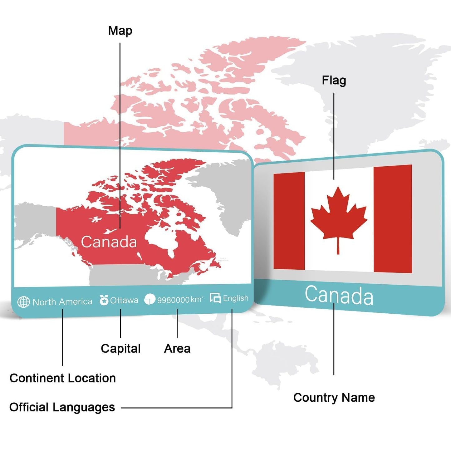 244PCS Countries of The World Flags Flash Cards Country Continent Capitals Population Country Flag Geography Educational Cards Game Gift for Family & Adults All Countries Flags of The World