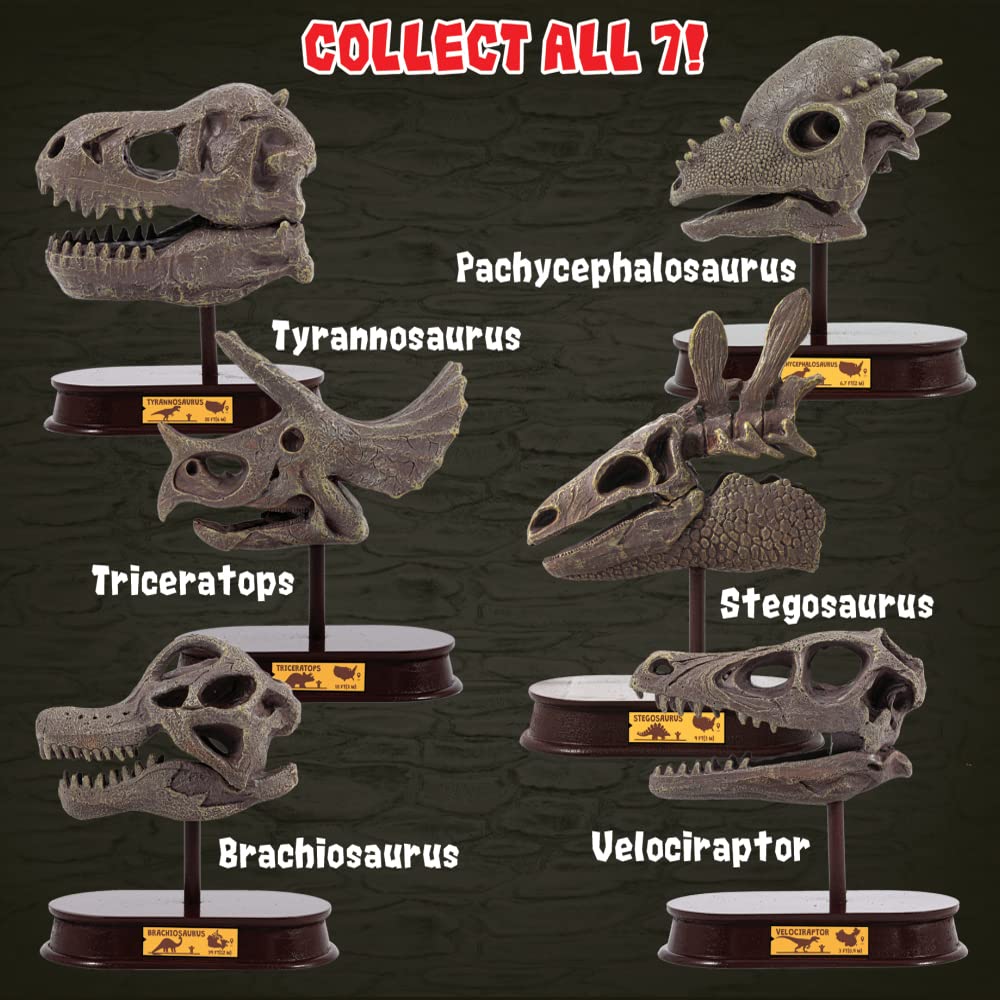 ArtCreativity Dinosaur Excavation Kit for Kids, Carnotaurus Skull Excavating Set with Fossil Digging Tools and Stand, Fun Science Activity Toy, Educational Dinosaur Gift for Boys and Girls