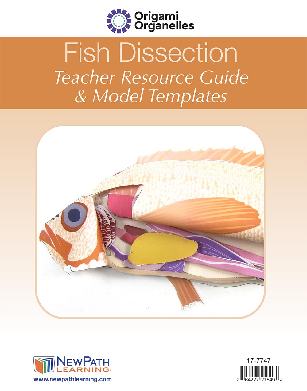 NewPath Atlantic Perch Fish Dissection 3-D Paper Model Making Kit - Individual Student Edition (17-7747)