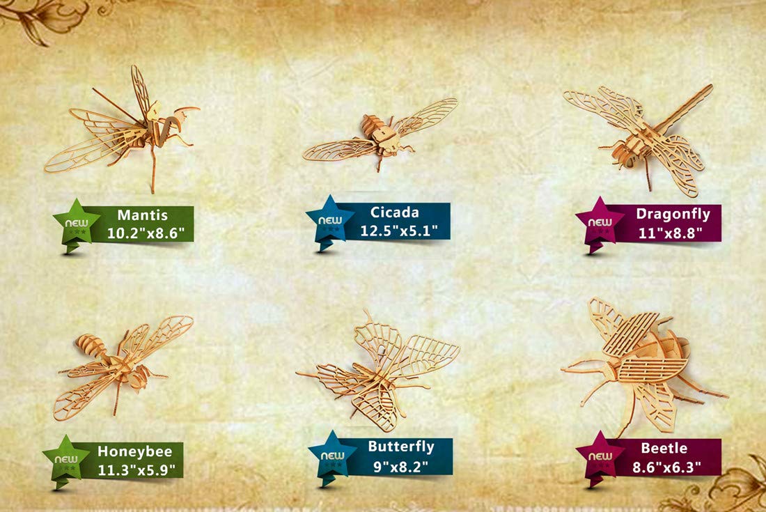 3D Wooden Insect Puzzle - 6 Piece Set Insect Animal Skeleton Assembly Model Puzzle - DIY Wooden Crafts 3D Puzzle - Wood Toys Gifts for Adults & Teens Birthday Gifts Christmas