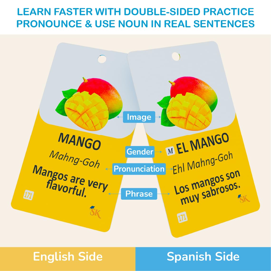 300 Bilingual English Spanish Flash Cards for Adults & Kids Ages 12+ Beginners - Noun Vocabulary with Pictures, Pronunciation, Sentences, Adult Self Study & Learn Spanish Workbooks for Adults
