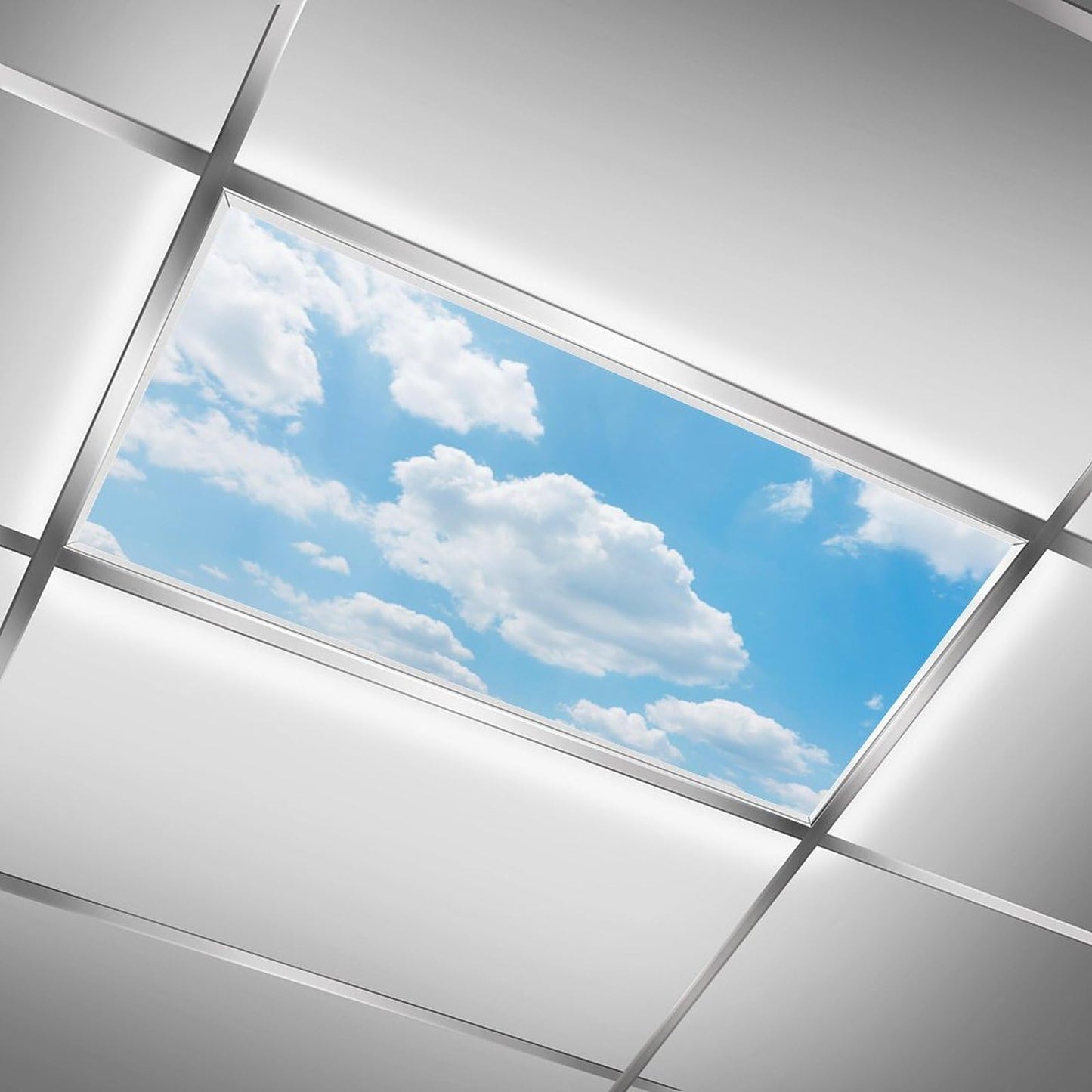 2PCS Fluorescent Light Covers - Magnetic, Filters for Classroom, Home, Office Drop Ceiling Lamps - 4x2Feet (Cloud)