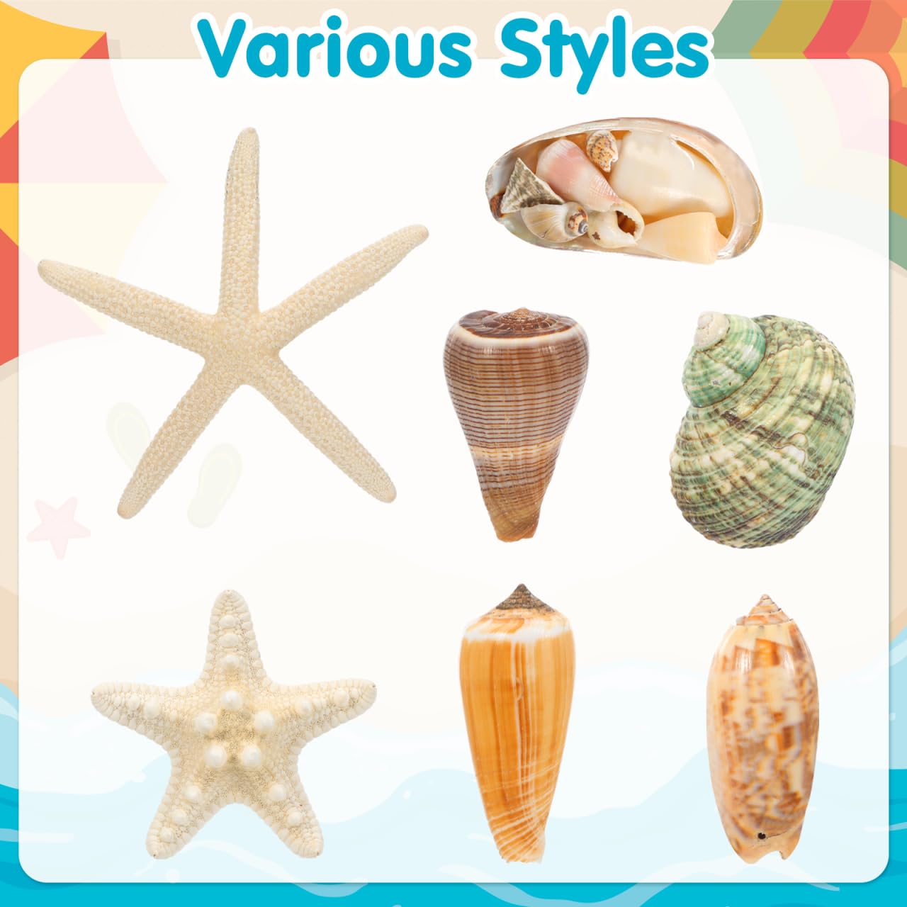 NUOBESTY Fridge Magnets 3D Seashell & Star Fish Set, Refrigerator Magnets with Magnetic Backing Coastal Decor for Kitchen Office Classroom Whiteboard Locker (7 Pcs Random Style)