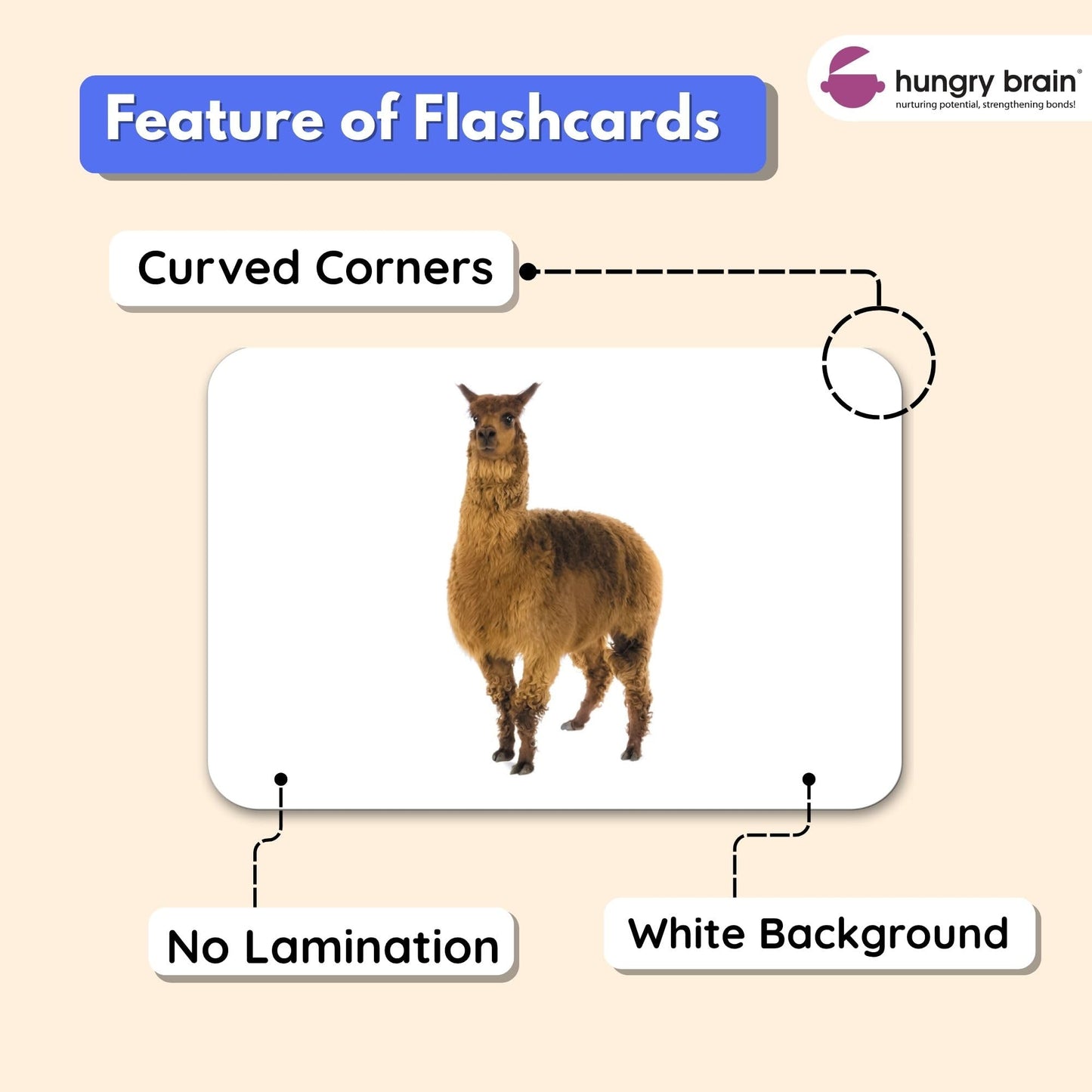 Hungry Brain Domestic Animals Flash Cards for Toddlers Ages 1-6 | Montessori Educational Learning Cards for Babies & Kids | Farm Animal Vocabulary, Preschool Learning & Homeschool