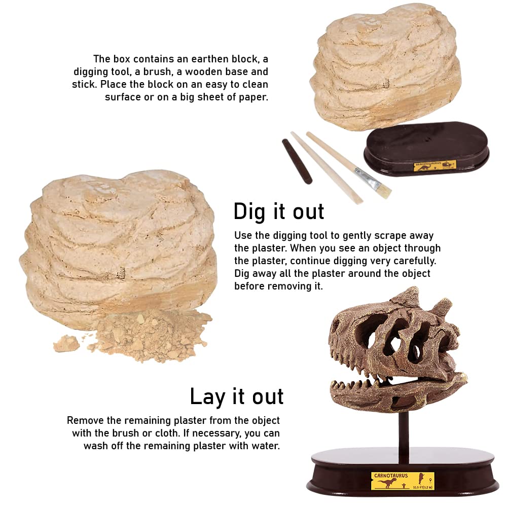 ArtCreativity Dinosaur Excavation Kit for Kids, Carnotaurus Skull Excavating Set with Fossil Digging Tools and Stand, Fun Science Activity Toy, Educational Dinosaur Gift for Boys and Girls