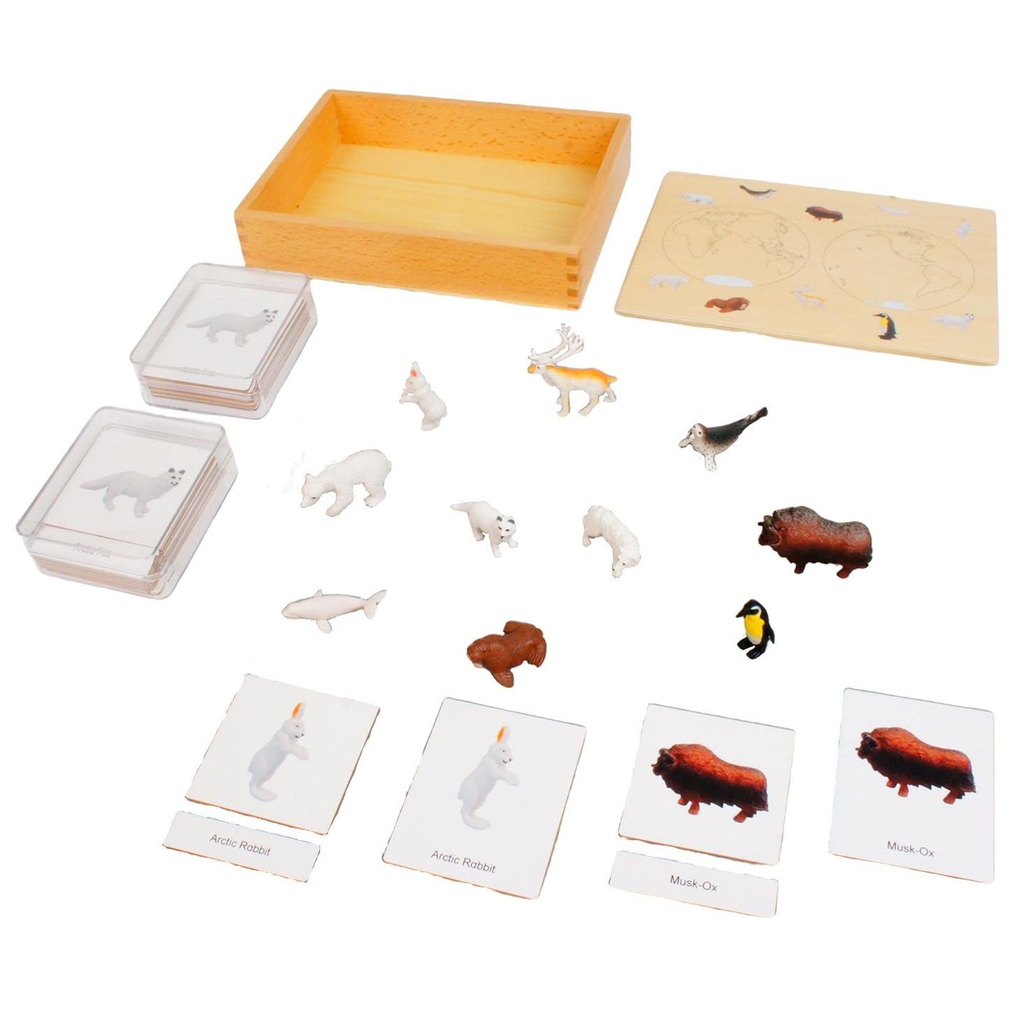 ancona Antarctic Animals, Spanish/English Bilingual, Montessori Preschool Memory Matching Game Box Set with Animal Figurines & 3-Part Cards, Early Education Toy