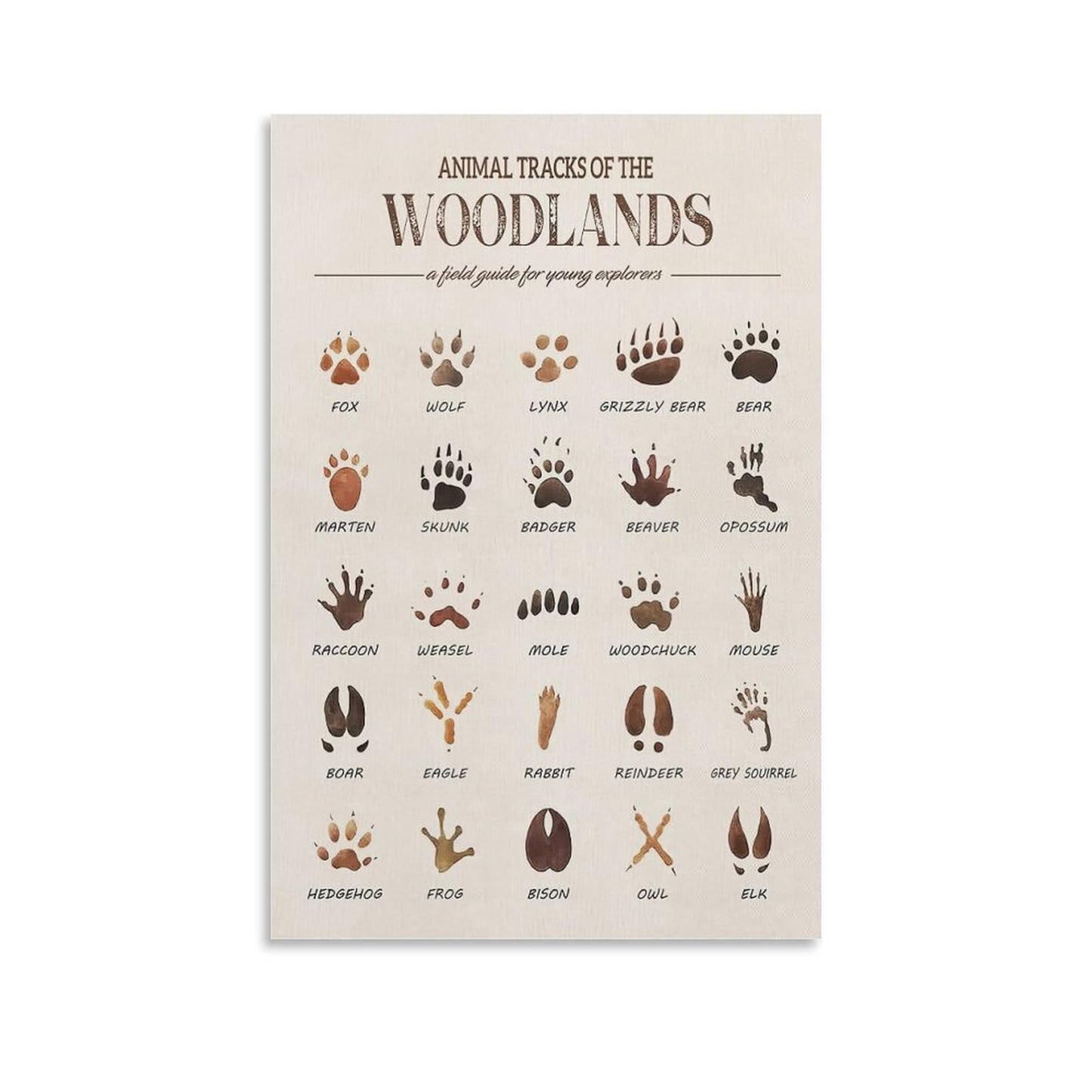 MAIHAIBAO Woodland Animal Tracks Canvas Wall Art - Educational Forest Field Guide Poster - Rustic Nature Nursery & Kids Room Decor - 12x18 Inch (Unframed)
