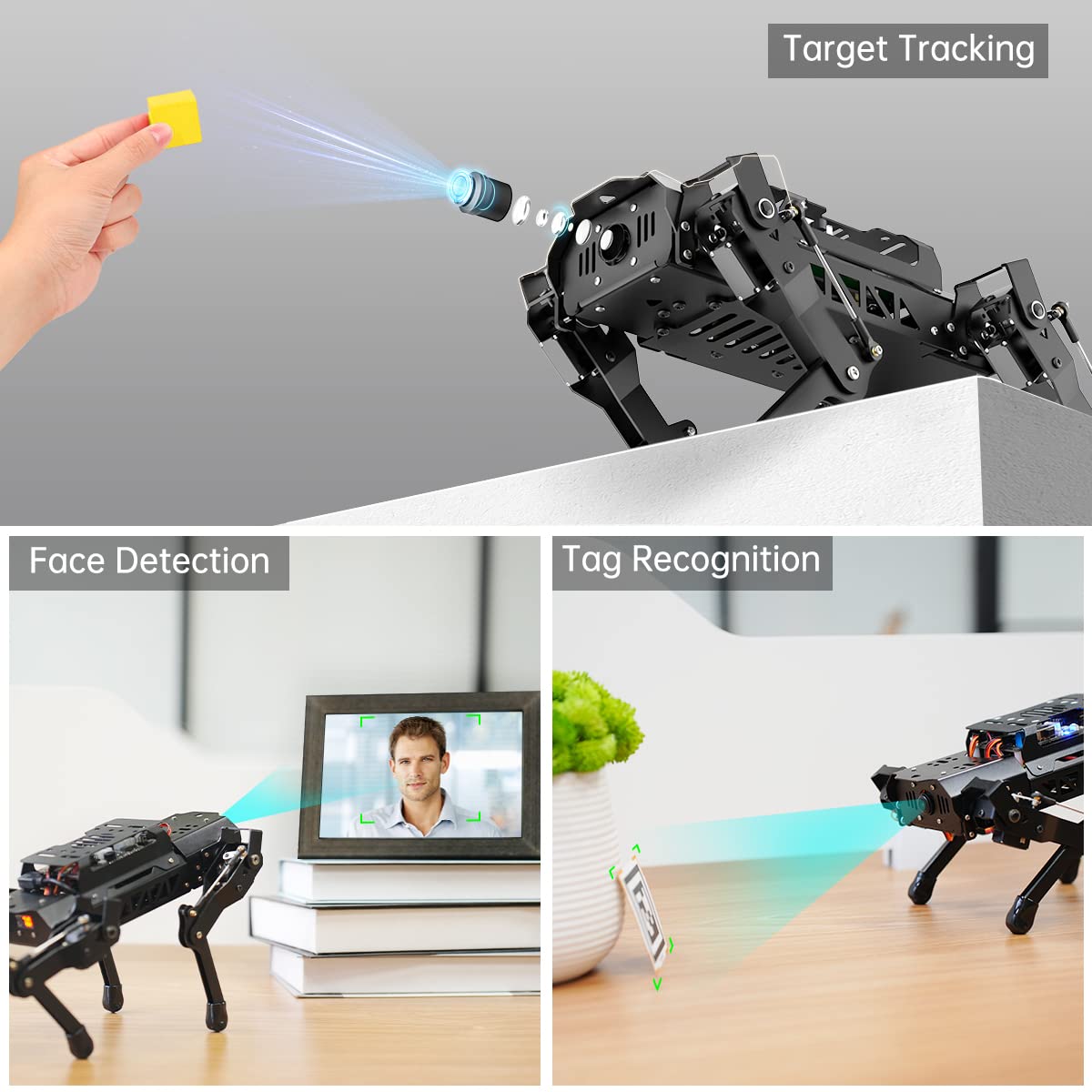 PuppyPi Robot Dog with ChatGPT Large AI Models AI Embodied Intelligence ROS Robotic Dog Vision Scene Voice Understanding SLAM Mapping Navigation Bionic Quadruped Robot, Advanced Kit & RaspberryPi5 8GB