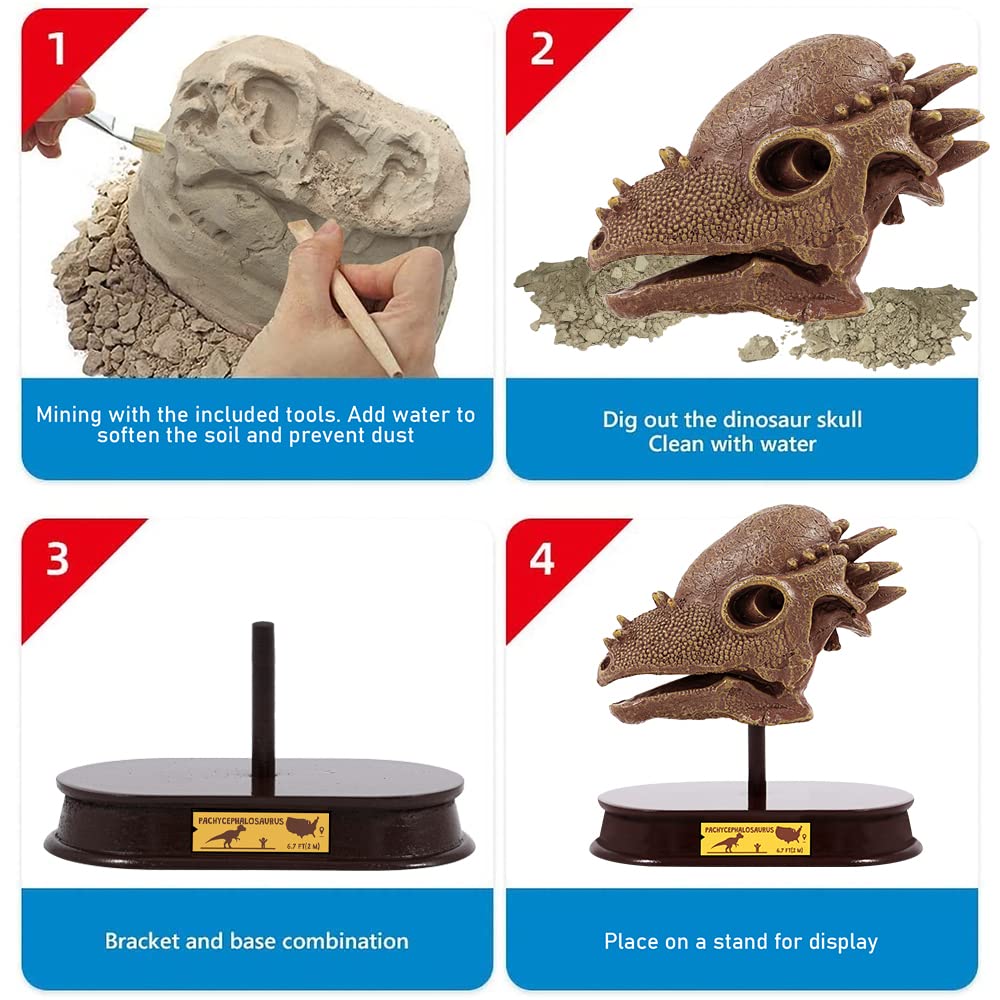 ArtCreativity Dinosaur Excavation Kit for Kids, 5.5” Pachycephalosaurs Skull Excavating Set with Fossil Digging Tools and Stand, Fun Science Activity Toy, Educational Dinosaur Gift for Boys and Girls
