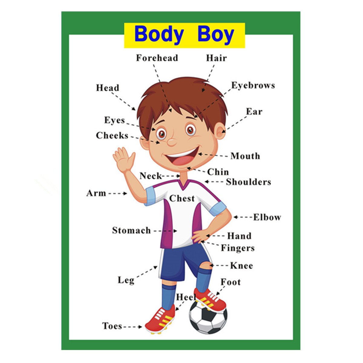 SANTSUN 5 Pcs Laminated Educational Preschool Posters for Toddlers| School classroom Posters | Class decorations for Kids Back to School Supplies, Preschool, Kindergarten, Elementary