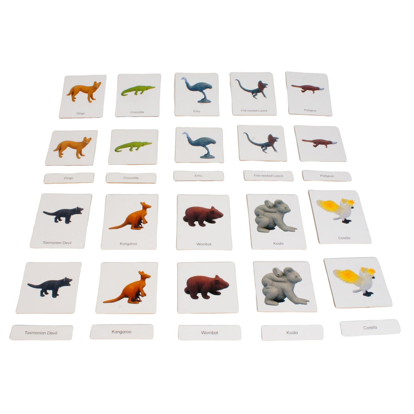 ancona Australian Animals, Spanish/English Bilingual, Montessori Preschool Memory Matching Game Box Set with Animal Figurines & 3-Part Cards, Early Education Toy