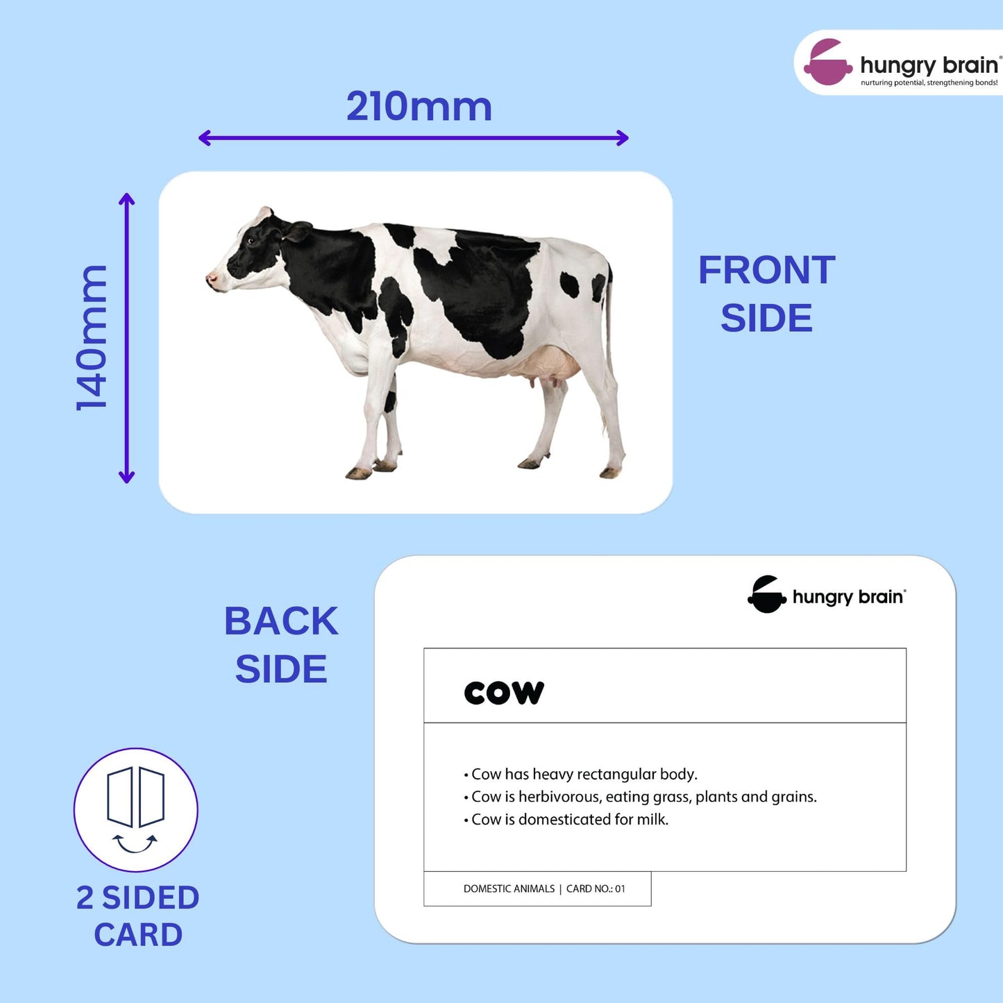 Hungry Brain Domestic Animals Flash Cards for Toddlers Ages 1-6 | Montessori Educational Learning Cards for Babies & Kids | Farm Animal Vocabulary, Preschool Learning & Homeschool