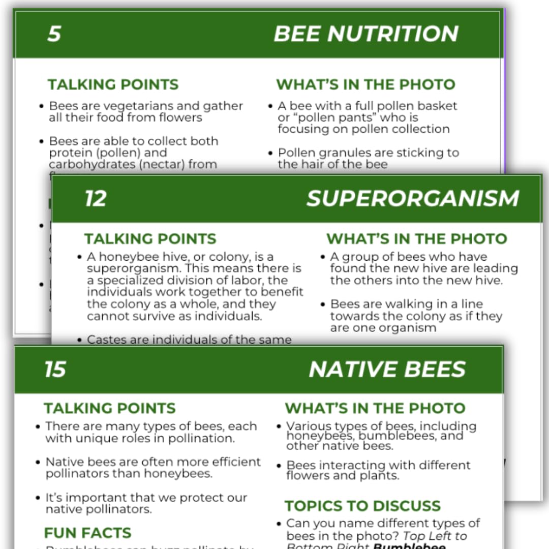 Educational Beekeeping Cards – 12x18 Oversized Beekeeping Flashcards for Teaching Bees and Beekeeping - Classroom and Workshop Learning Tool (Complete Set - Heavy Card Stock)