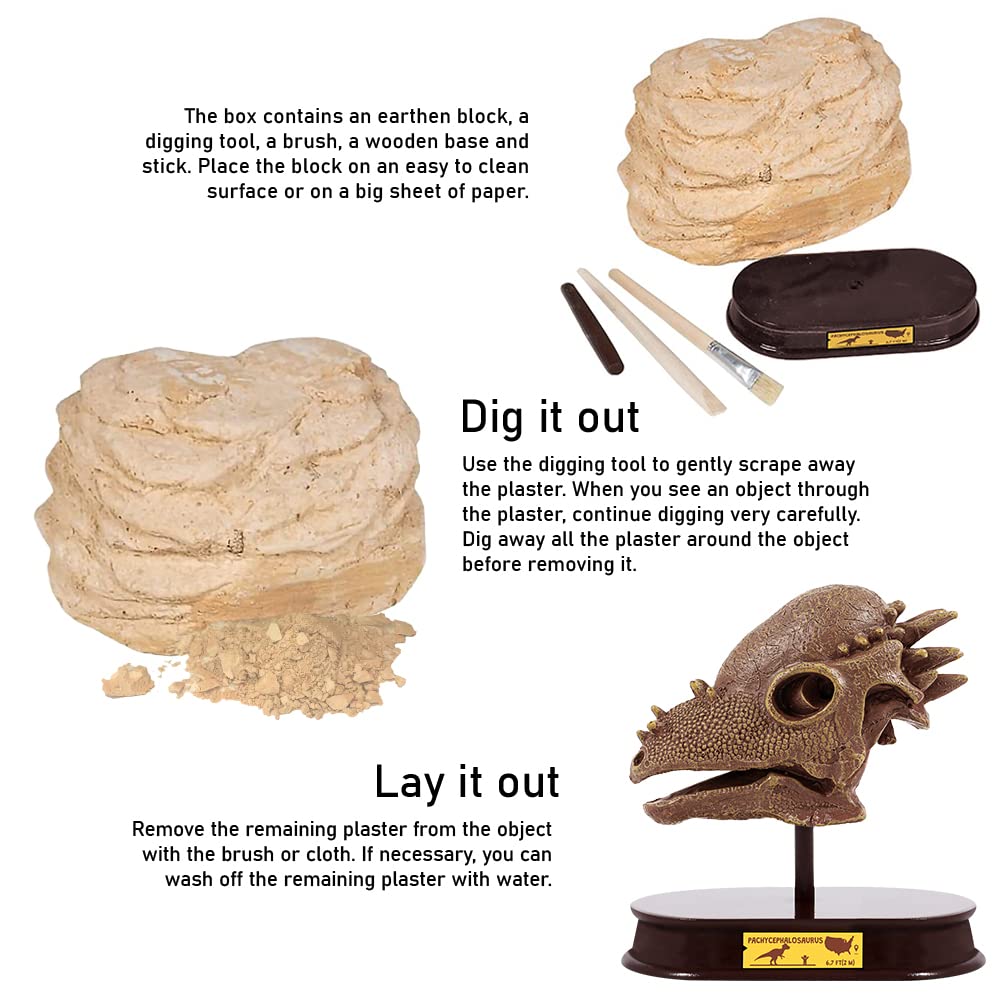 ArtCreativity Dinosaur Excavation Kit for Kids, 5.5” Pachycephalosaurs Skull Excavating Set with Fossil Digging Tools and Stand, Fun Science Activity Toy, Educational Dinosaur Gift for Boys and Girls