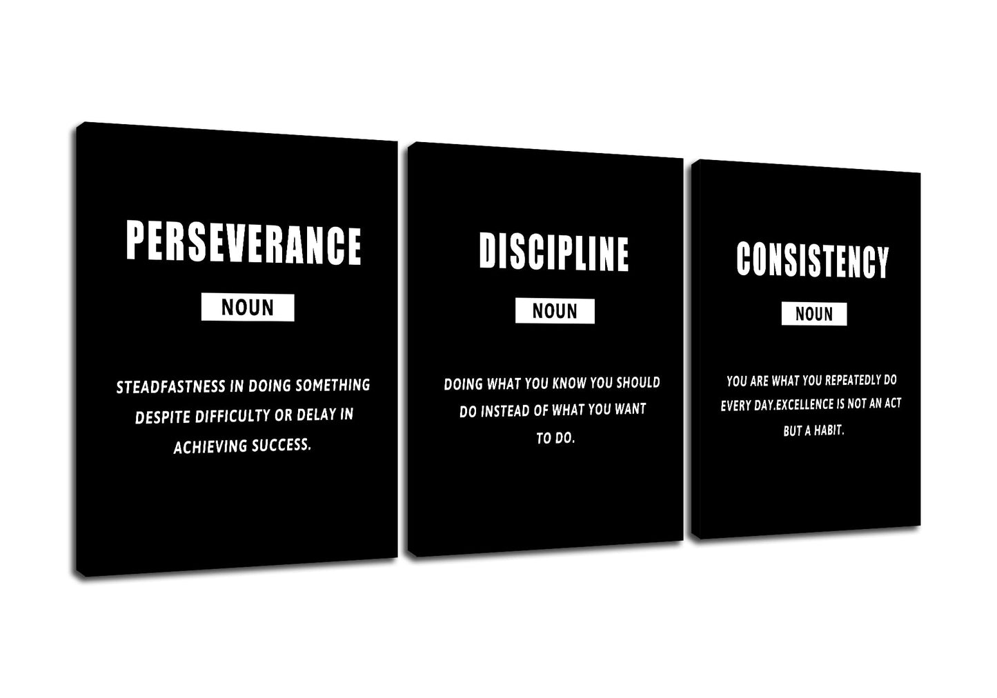 PSYYSP 3 Piece Canvas Wall Art Perseverance Discipline Consistency Posters, Black White Motivational Triptych Wall Decor for Office, Bedroom, Dorm, Framed Canvas 36x16inch