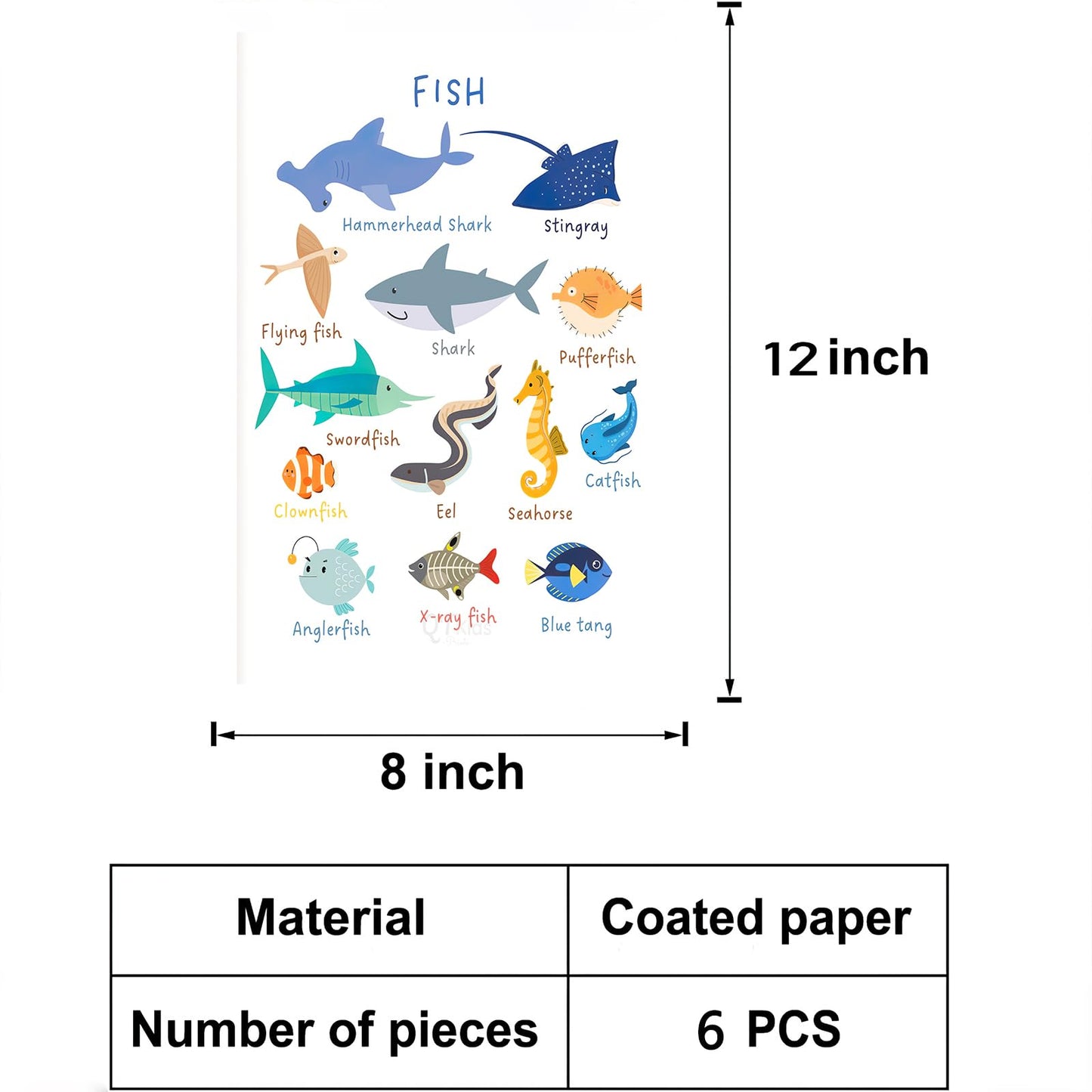 6 Pieces Laminated Educational Preschool Posters for Toddlers,Educational Wall Charts,School classroom Posters,Class decorations for Kindergarten- FISH,BIRDS，MAMMALS，INSECTS,REPTILES，AMPHIBIANS.(No