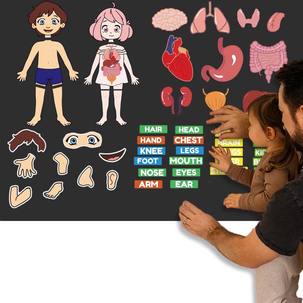 BEUNITONE Body Parts Learning Felt Story Board for Family 48 Pcs Large Preschool Human Organ Name Words Useful Felt Story Board Set Wall Activity for Birthday Christmas New Year Gifts