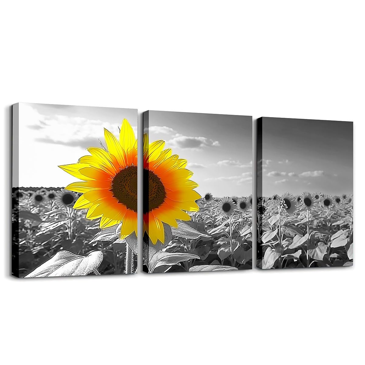 jejeloiu Sunflower Canvas Wall Art for Living Room Bedroom 12"x16"x3pcs Yellow Flowers Picture Wall Decor for Bathroom Black and White Office Decorations Artwork Posters Natural Scenery Painting