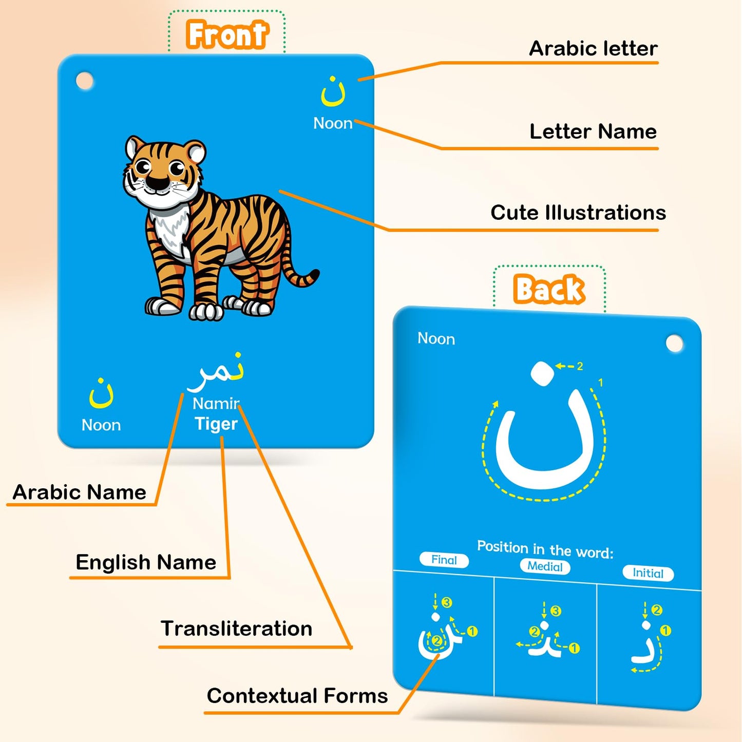 48 Arabic Toddler Flash Cards, Baby Cognitive Flashcards for Kids, Learn Arabic Letters, Number, Color, Shape & Sight Words, Educational Toys with English Transliteration for Preschool Kindergarten