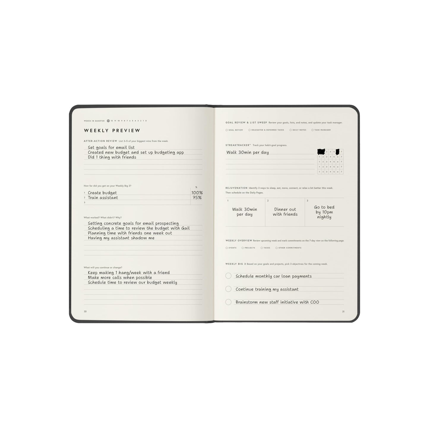 Full Focus Gray Linen Planner by Michael Hyatt - The #1 Daily Planner to Increase Focus, Eliminate Overwhelm, and Achieve Your Biggest Goals - Hardcover