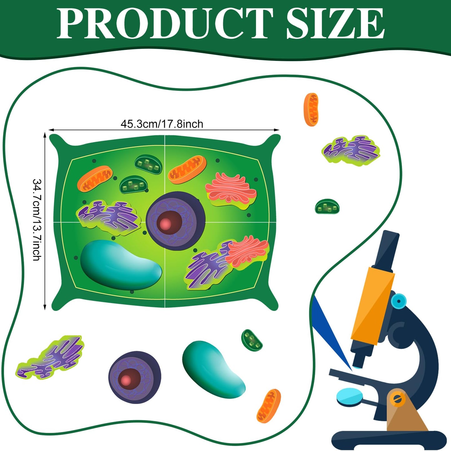 Leitee 18 Pcs Magnetic Plant Cell Model Kits Giant Teaching Resources Early Biology Cell Anatomy Model Life Science Teaching Aid for Whiteboard Learning Tools Educational Classroom Activities