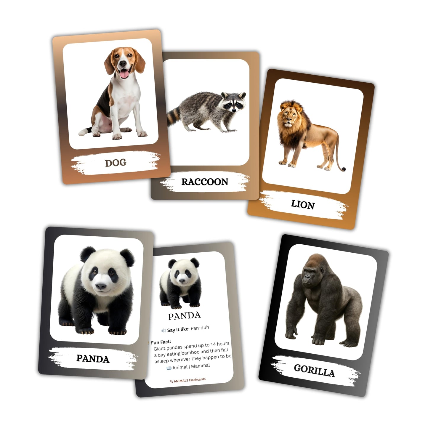 The Biblio Hub Animals Flashcards – Non-Tearable Synthetic Learning Cards for Toddlers, Preschool & Kindergarten, Double-Sided Set