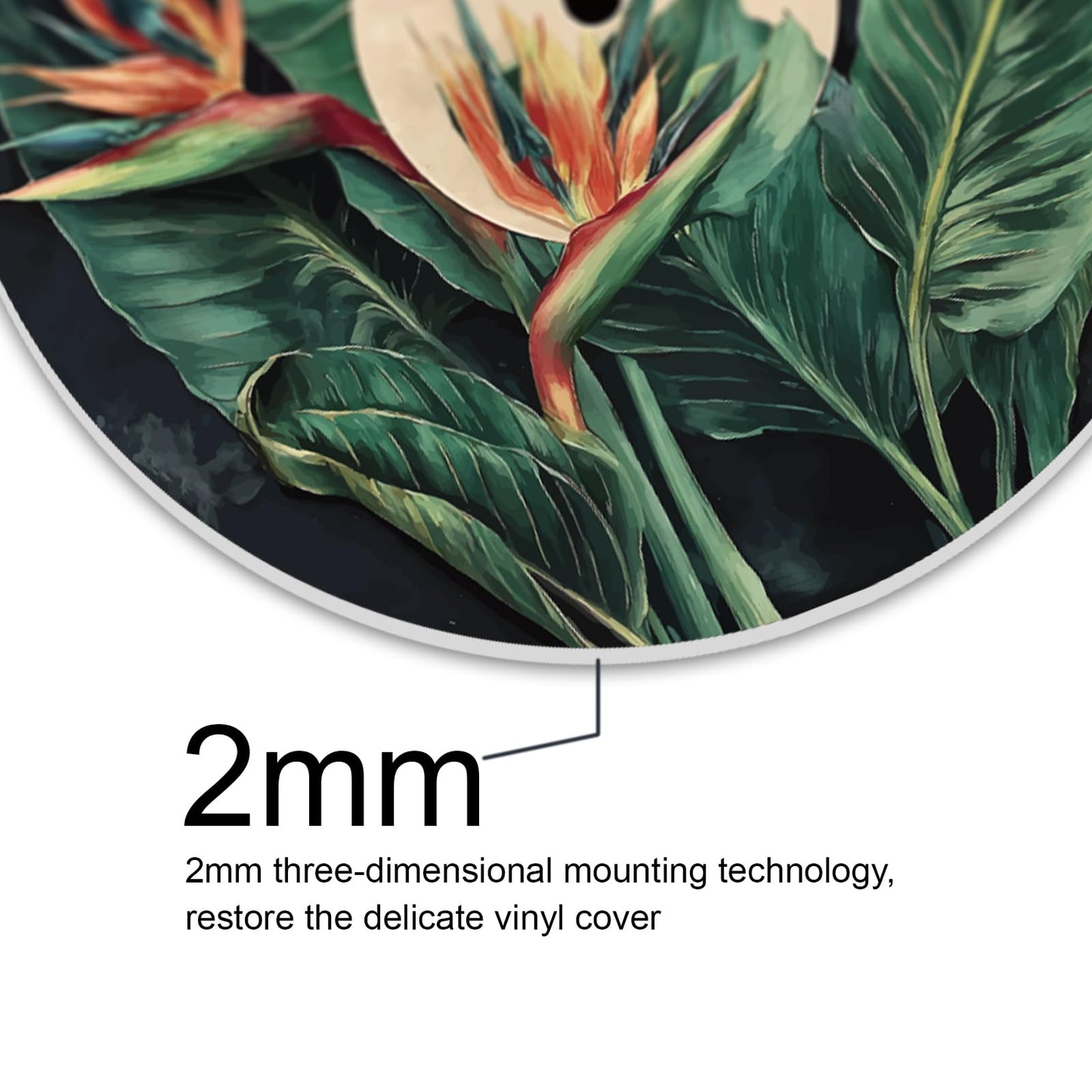 DOODLREAM 4PCS Botanical Vinyl Record Wall Decor 12" Hippy Plant Leaf Wall Art Posters for Room Aesthetic, Mushroom Daisy Flower Retro Record Decor for Music Party Studio Living Room DIY Craft Project