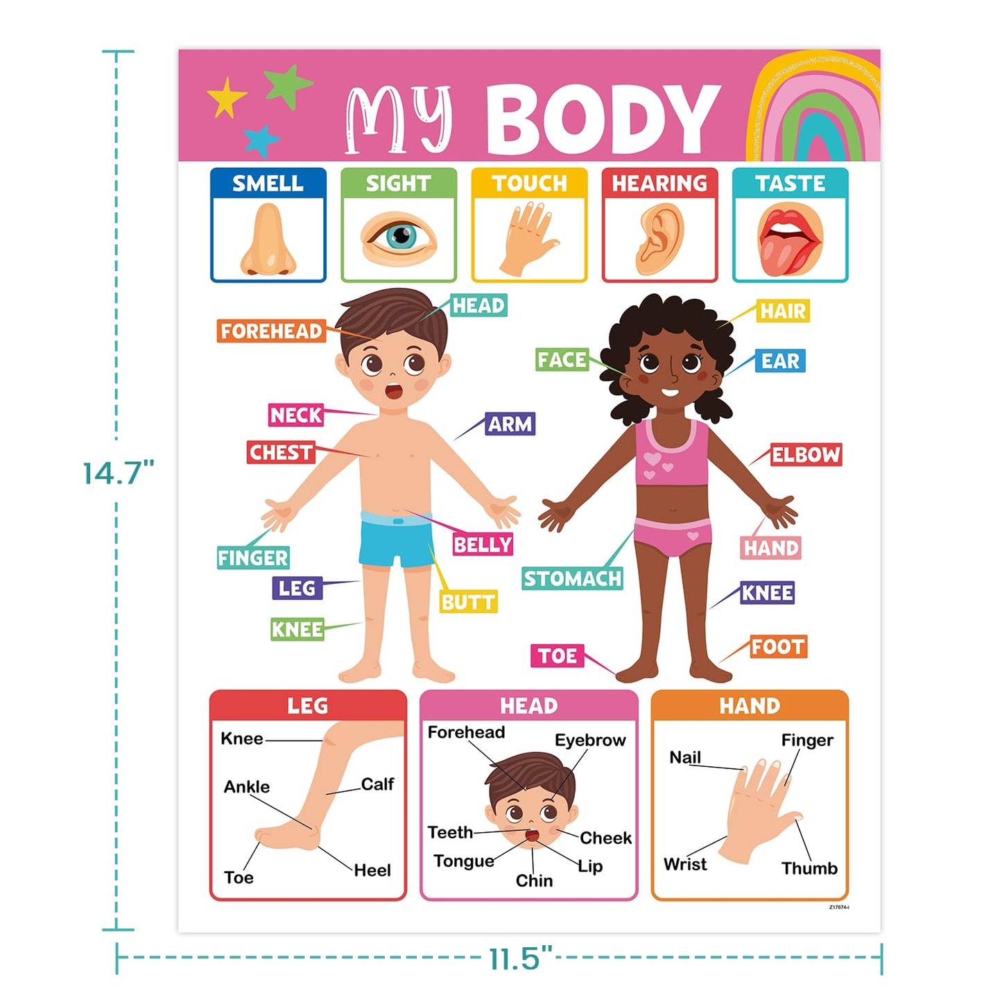 16PCS Classroom Educational Posters - Laminated Educational Posters For Toddlers, 14.7'' x 11.5'' Preschool Learning Posters, Alphabet Number Charts, Kindergarten Classroom Wall Decor, Playroom Homeschool Daycare & Classroom Decor, Kindergarten & Preschoo