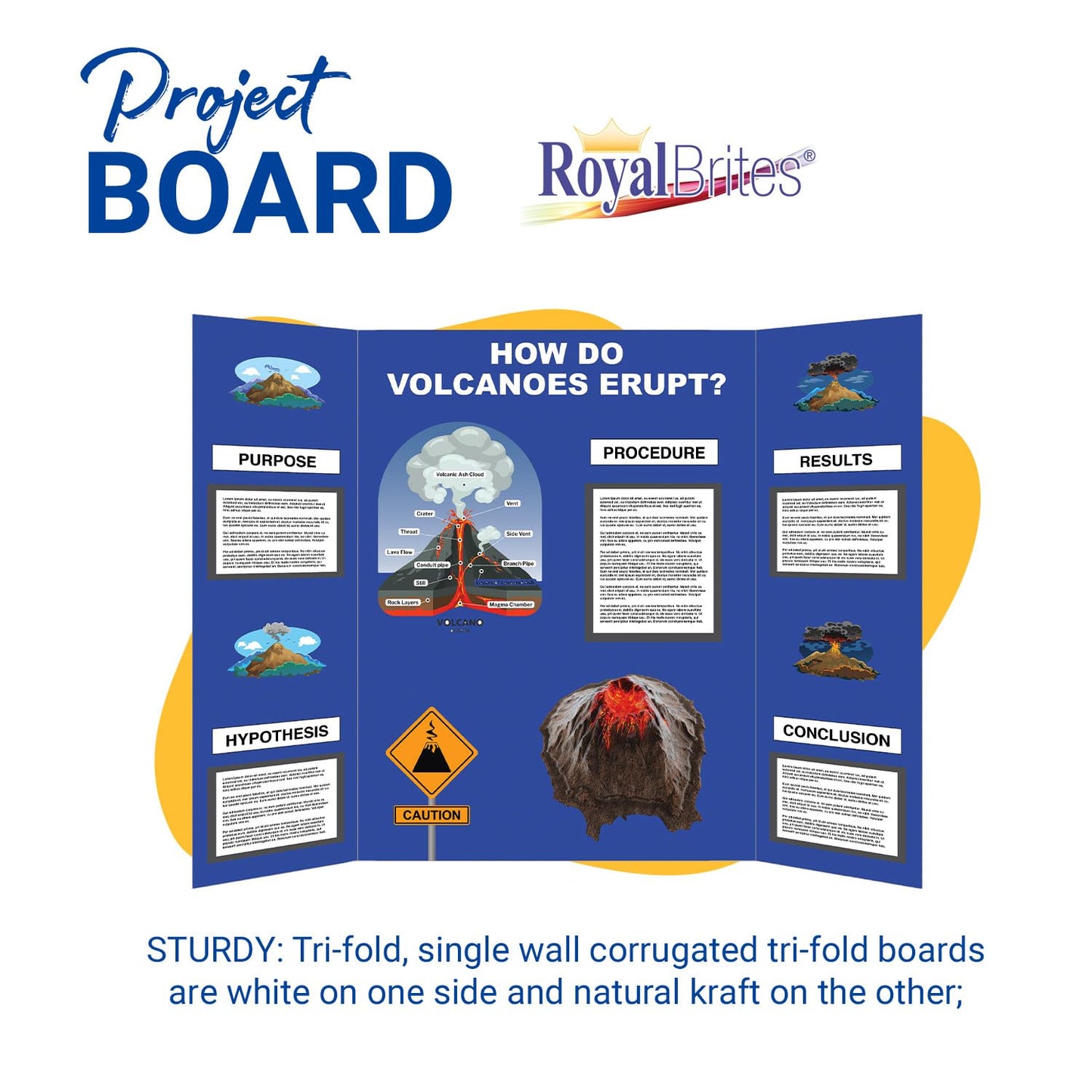 Royal Brites 1-Ply Corrugated Tri-fold Project Display Board 36" x 48", Exhibition, Presentation, & Science Fair Display Boards, Lightweight Tri-Fold Board with Smooth Surface, Blue/Kraft, Pack of 12