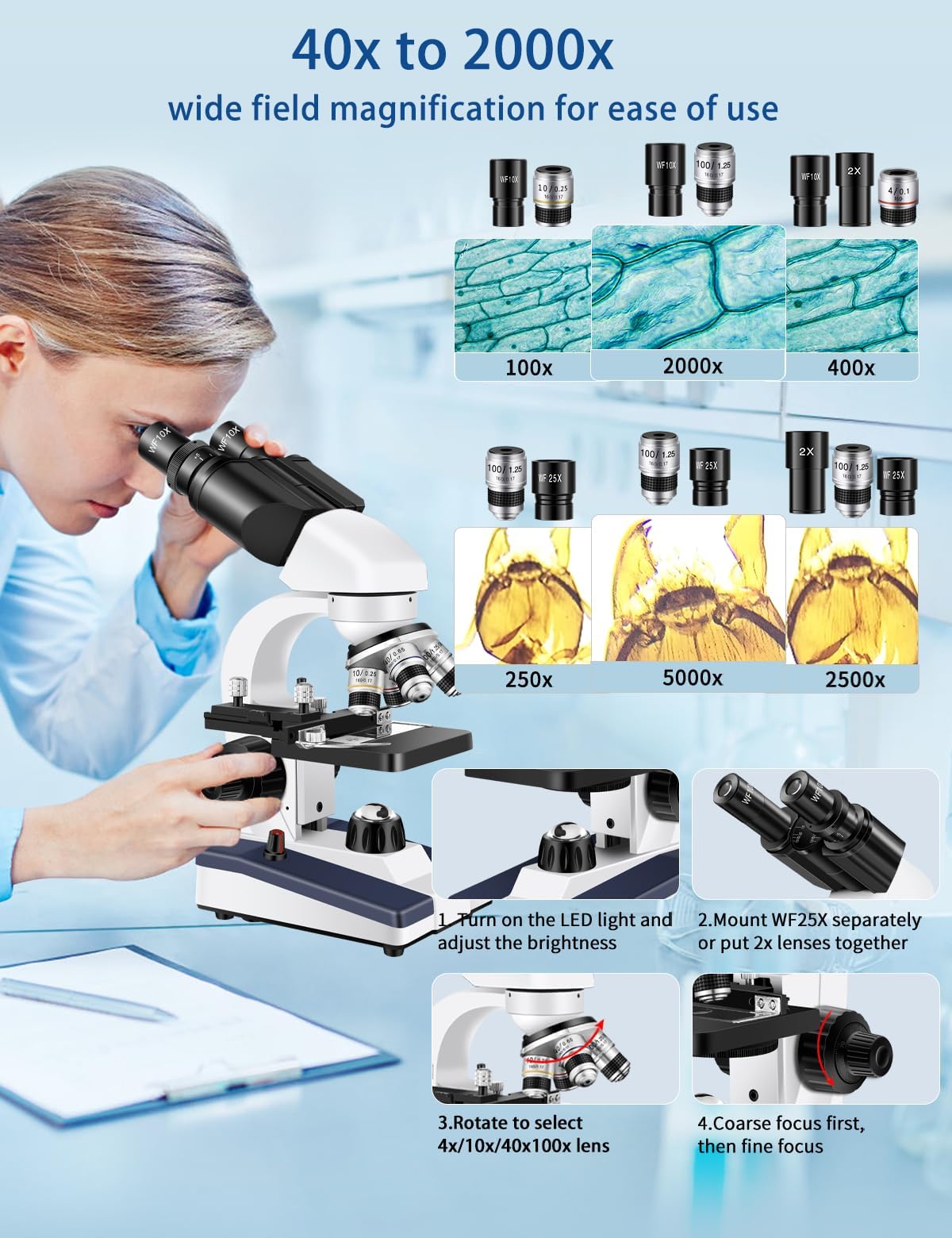 Microscope for Adults WF10x and WF25x eyepieces Compound Microscope with Microscope Slides, Microscope Kit for Kids Students Home School