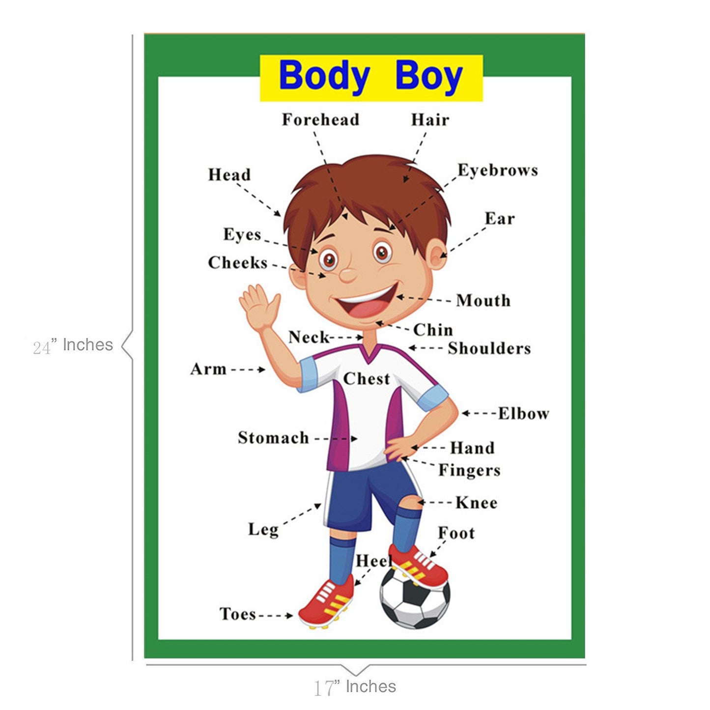 SANTSUN 2 Pcs of Set Educational Preschool Poster for Toddlers and Kids|Great for Nursery Homeschool Kind Classroom decorations|School Wall Decor- Transportation,Body Parts (17x24in)