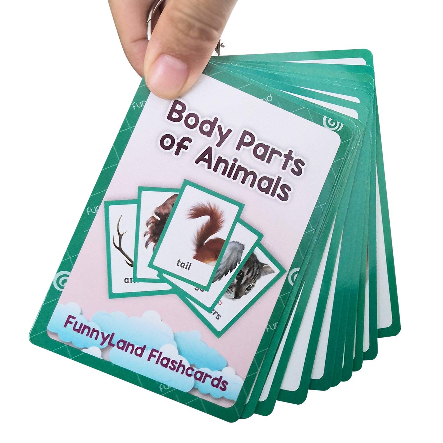 Zwttey Wild/Farm/Sea Animals Body Parts Learning English Flash Cards Kids Montessori Toys Baby Cards Child Pocket Card Pre-Kindergarten