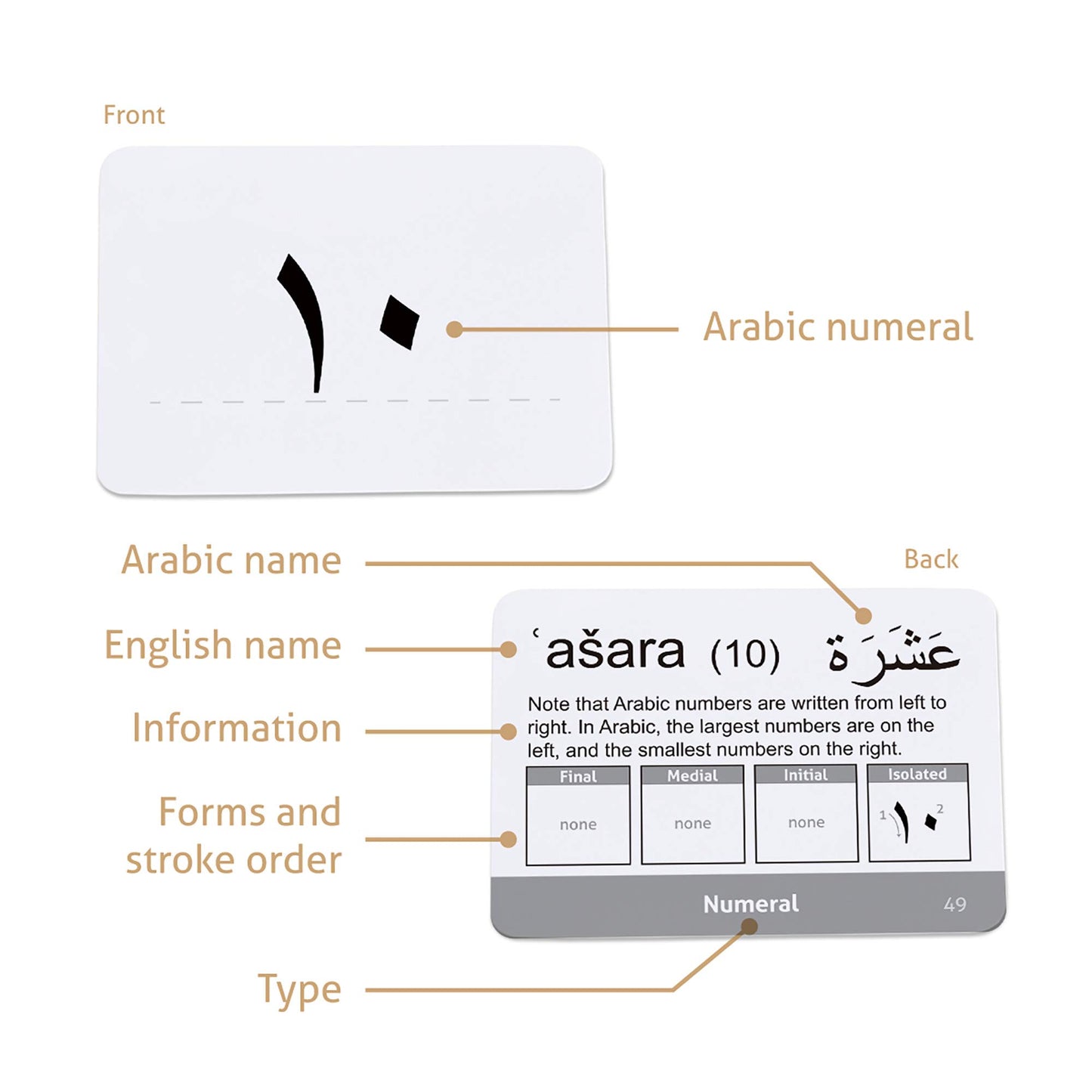 CARDDIA | Arabic Alphabet Educational Flashcards | Includes Consonants, Vowels, Diacritics and Numerals | Ideal for Arabic Language Beginners
