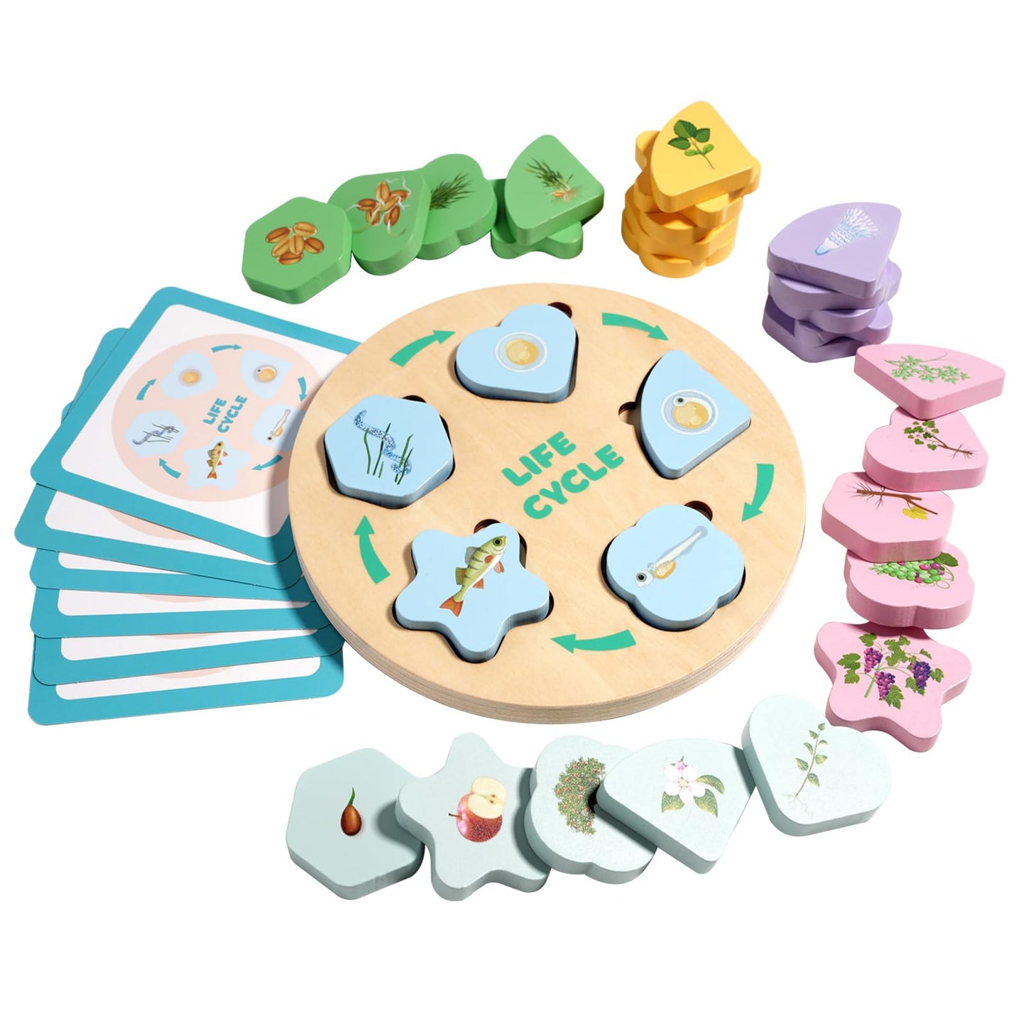 INIFEIDALA Montessori Wooden Preschool Learning Educational Toys Set for Toddlers 3-6,Life Cycle Puzzle, Shape Sorting Matching Game & Ecosystem Science Center – STEM Sensory Gifts for Boys & Girls