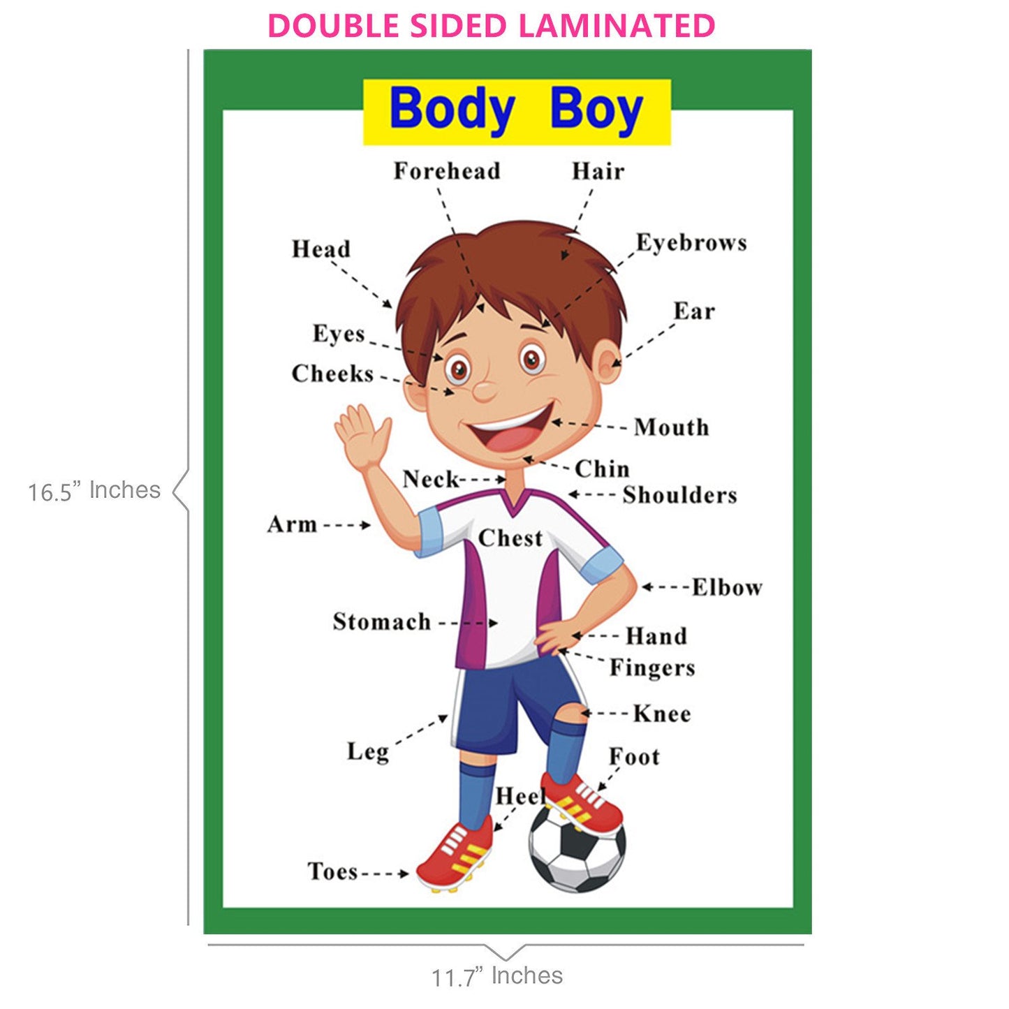 SANTSUN 5 Pcs Laminated Educational Preschool Posters for Toddlers| School classroom Posters | Class decorations for Kids Back to School Supplies, Preschool, Kindergarten, Elementary