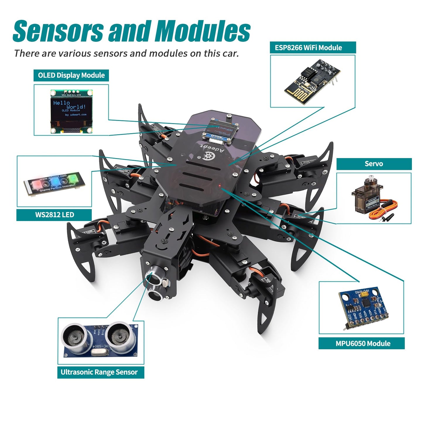 Adeept Ultimate Hexapod Spider Robot Kit, Metal Body, Arduino Programming, WiFi/IR Remote Control with OLED Display, Python/APP, STEM Educational Robotics Kit for Adults & Teens with PDF Manual