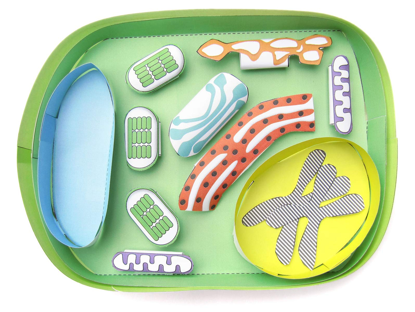 NewPath Simple Plant Cell 3-D Paper Model Making Kit - Individual Student Edition (17-7731)