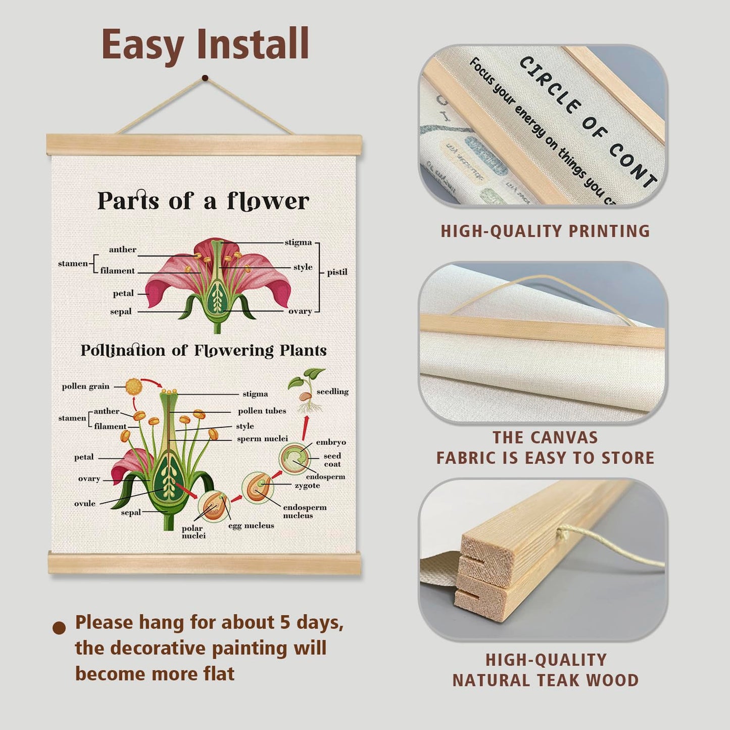 Parts of a Flower Educational Cognitive Poster,14x18.5 Inch Linen Canvas Wall Chart Plants Flower Structure and Pollination Science Learning Decor for Classroom, Homeschool ,Kids Room Decor (Pink-Flower)